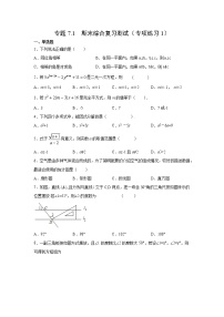 专题7.1 期末综合复习测试（ 专项练习1）-2021-2022学年七年级数学下册阶段性复习精选精练（浙教版）