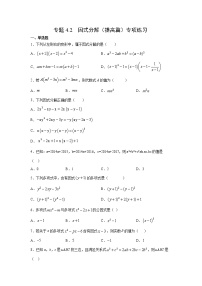 专题4.2 因式分解（提高篇）专项练习-2021-2022学年七年级数学下册阶段性复习精选精练（浙教版）