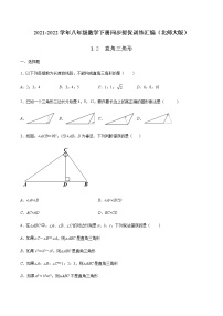 数学北师大版2 直角三角形测试题