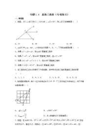 专题1.4 直角三角形（专项练习）-2021-2022学年八年级数学下册基础知识专项讲练（北师大版）