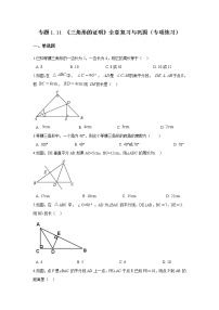 专题1.11 《三角形的证明》全章复习与巩固（专项练习）-2021-2022学年八年级数学下册基础知识专项讲练（北师大版）