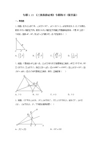 专题1.13 《三角形的证明》专题练习（提升篇）-2021-2022学年八年级数学下册基础知识专项讲练（北师大版）