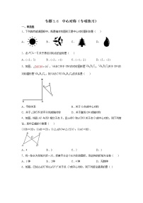 专题3.6 中心对称（专项练习）-2021-2022学年八年级数学下册基础知识专项讲练（北师大版）