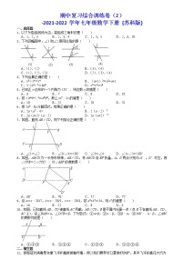 2021-2022学年苏科版七年级数学下册期中复习综合训练卷（2）（word版含答案）-