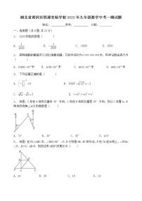 2022年湖北省黄冈市思源实验学校 九年级数学中考一模试题(word版含答案)