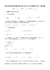 2022年湖北省黄冈市思源实验学校九年级数学中考二模试题(word版含答案)