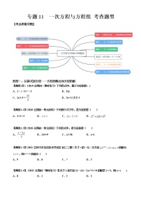 专题11  一次方程与方程组 考查题型-2021-2022学年七年级数学上册期中期末考点大串讲（沪科版）