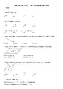 湖北省武汉市某校2018-2019学年度第二学期八年级下册期中数学试题