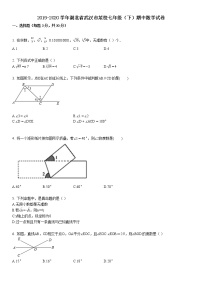 2019-2020学年湖北省武汉市某校七年级（下）期中数学试卷