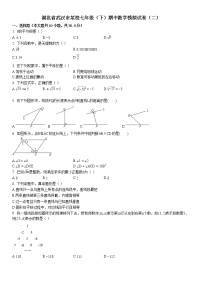 2019-2020学年湖北省武汉市某校七年级（下）期中数学模拟试卷（二）