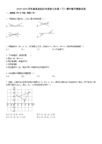 2019-2020学年湖北省武汉市某校七年级（下）期中数学模拟试卷