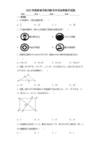 2022年陕西省学林大联考中考自查数学试题(word版含答案)