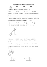 2022年四川省乐山市中考数学模拟试题(word版含答案)