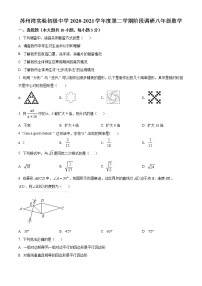 吴江区苏州湾实验学校2020-2021学年八年级下学期3月月考数学试卷（含解析）