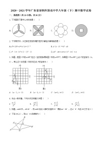 精品解析：广东省深圳市盐田区深圳外国语学校2020-2021学年八年级下学期期中数学试题