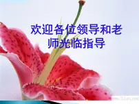 初中数学北师大版八年级下册1 认识分式备课ppt课件