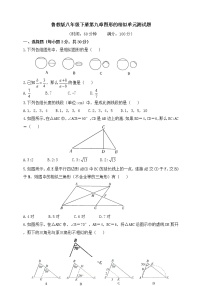 初中数学鲁教版 (五四制)八年级下册第九章  图形的相似综合与测试单元测试达标测试