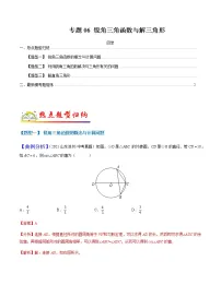 专题06锐角三角函数与解三角形-2022年中考数学二轮热点题型归纳与变式演练试卷(学生版+教师版)