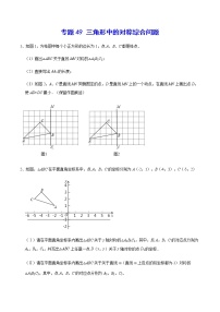 专题49 三角形中的对称综合问题-2022年中考数学重难点专项突破（全国通用）