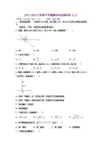 期中测试卷（三）2021-2022学年七年级数学下学期期中考试全真模拟卷（人教版）