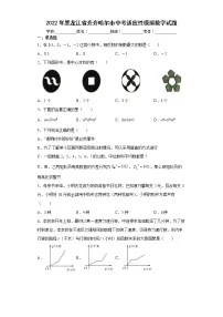 2022年黑龙江省齐齐哈尔市中考适应性模拟数学试题(word版含答案)