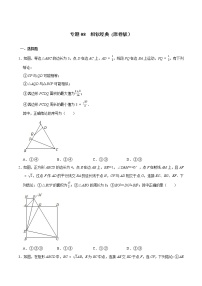 专题08 相似经典-2022年决胜中考数学考前抢分冲刺（全国通用）