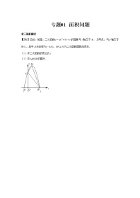 专题01  面积问题-2022年中考数学二次函数解答题题型全归纳（全国通用）