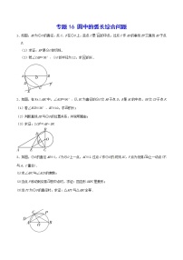 专题16 圆中的弧长综合问题-2021-2022学年九年级数学上册难点突破（人教版）