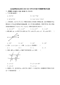 山东省枣庄市山亭区2020-2021学年七年级下学期期中数学试题 (word版含答案)