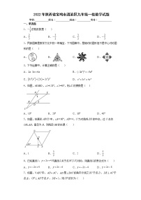 2022年陕西省宝鸡市渭滨区九年级一检数学试题(word版含答案)