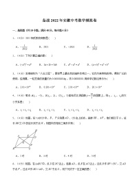 2022年安徽中考数学模拟卷