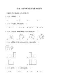 备战2022年哈尔滨中考数学模拟卷