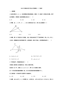 2022年中考数学复习考点专项训练——三角形（无答案）