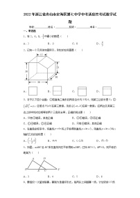 2022年浙江省舟山市定海区第七中学中考适应性考试数学试题(word版含答案)