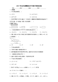 2021年山东省聊城市中考数学模拟试题(word版含答案)