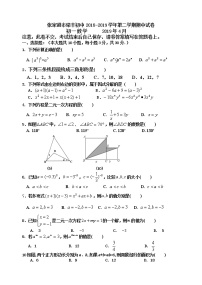 张家港市梁丰初中2018-2019学年第二学期初一数学期中考试试卷（含答案）