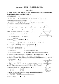 苏州市高新区2018-2019学年第二学期初一数学期中考试试卷（含答案）