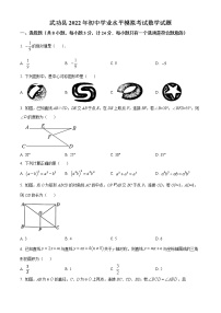 2022年陕西省咸阳市武功县初中学业水平考试模拟考试数学试题(word版含答案).