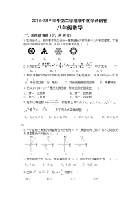 苏州工业园区2018-2019学年第二学期八年级数学期中教学调研卷（含答案）