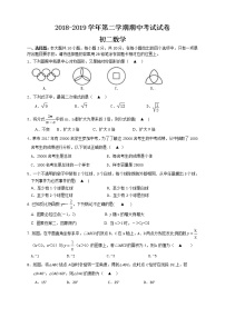 苏州市高新区2018-2019学年第二学期初二数学期中考试试卷（含答案）