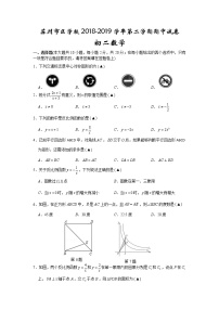 苏州市区学校2018-2019学年第二学期初二数学期中试卷（含答案）