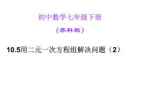 初中数学苏科版七年级下册10.2 二元一次方程组教课内容课件ppt