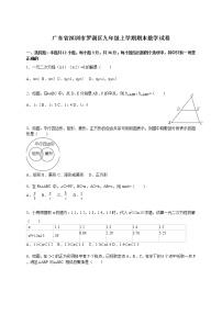 广东省深圳市罗湖区九年级上学期期末数学试卷【解析版】