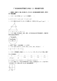 广东省深圳市罗湖区九年级（上）期末数学试卷