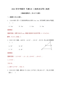 专题18三角形及全等三角形（基础巩固练习） 解析版