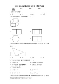 2022年山东省聊城临清市中考一模数学试题(word版含答案)