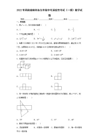 2022年河南省林州市九年级中考适应性考试（一模）数学试题(word版含答案)