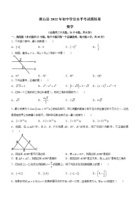 2022年云南省文山州砚山县初中学业水平模拟考试一模数学试题(word版含答案)