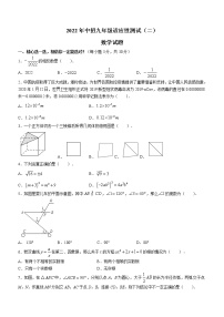 2022年河南省信阳市息县九年级下学期适应性测试（二）数学试题(word版含答案)