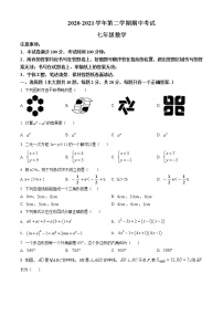 苏州工业园区星汇学校2020-2021学年初一数学下学期期中试卷（解析版）